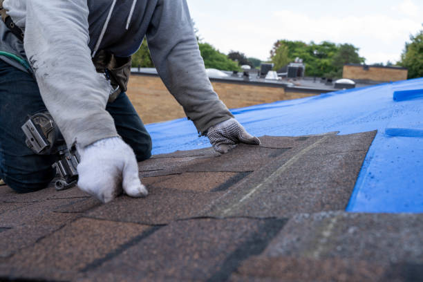 Best Storm Damage Roof Repair  in Mogadore, OH